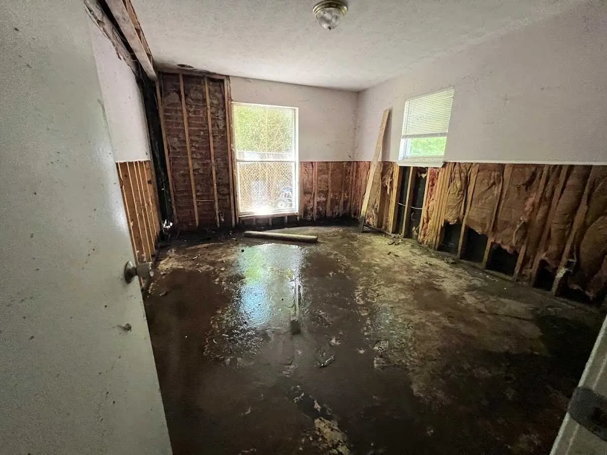 Basement Flood Cleanup in Wake Village, TX